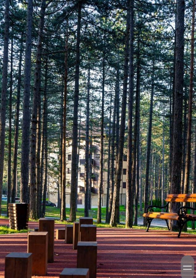 Apartman Pavle Zlatibor Exterior photo